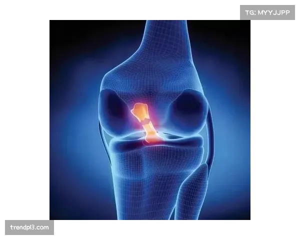 普特利亚斯完成膝伤康复，重返赛场后状态逐步回升
